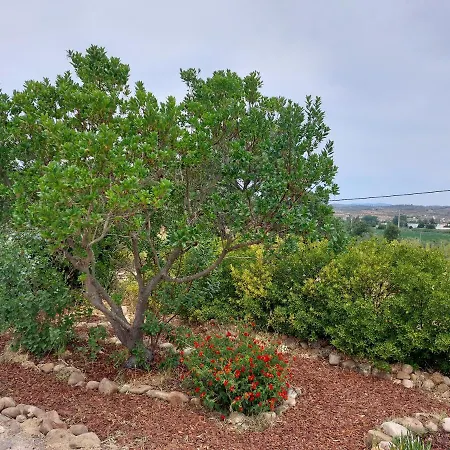 Monte Machial בית נופש Alvega