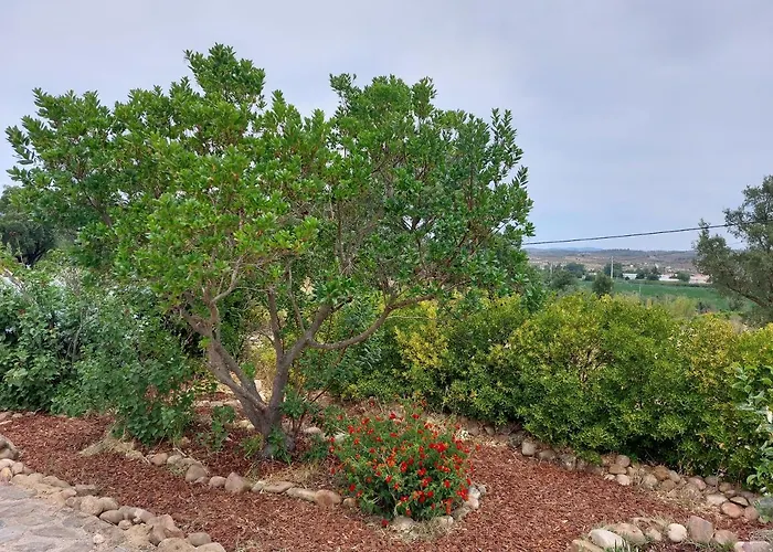 Monte Machial Holiday home Alvega